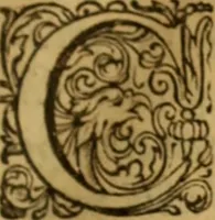 An illustration from Rerum Scoticarum historia (1643)