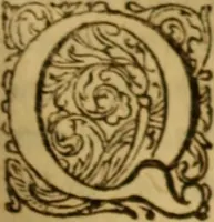 An illustration from Rerum Scoticarum historia (1643)