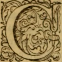 An illustration from Rerum Scoticarum historia (1643)