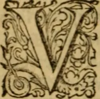 An illustration from Rerum Scoticarum historia (1643)