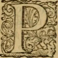 An illustration from Rerum Scoticarum historia (1643)