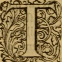 An illustration from Rerum Scoticarum historia (1643)