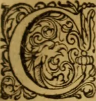 An illustration from Rerum Scoticarum historia (1643)