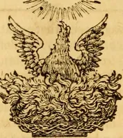An illustration from Revelation examined with candour, or, A fair enquiry into the sense and use of the several revelations expresly declared, or sufficiently implied, to be given to mankind from the creation, as they are found in the Bible (1745)