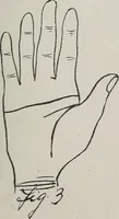 An illustration from Revelations of the hand. A scientific study of the shape and markings of the hand, as an index to character, disease, and tendencies, with explanatory illustrations (1900)