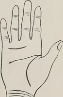 An illustration from Revelations of the hand. A scientific study of the shape and markings of the hand, as an index to character, disease, and tendencies, with explanatory illustrations (1900)