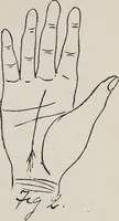 An illustration from Revelations of the hand. A scientific study of the shape and markings of the hand, as an index to character, disease, and tendencies, with explanatory illustrations (1900)