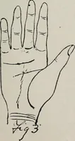 An illustration from Revelations of the hand. A scientific study of the shape and markings of the hand, as an index to character, disease, and tendencies, with explanatory illustrations (1900)