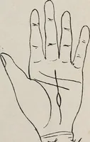 An illustration from Revelations of the hand. A scientific study of the shape and markings of the hand, as an index to character, disease, and tendencies, with explanatory illustrations (1900)