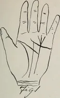 An illustration from Revelations of the hand. A scientific study of the shape and markings of the hand, as an index to character, disease, and tendencies, with explanatory illustrations (1900)