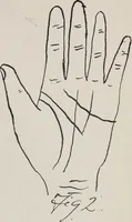 An illustration from Revelations of the hand. A scientific study of the shape and markings of the hand, as an index to character, disease, and tendencies, with explanatory illustrations (1900)