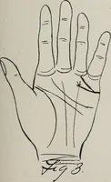 An illustration from Revelations of the hand. A scientific study of the shape and markings of the hand, as an index to character, disease, and tendencies, with explanatory illustrations (1900)