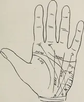 An illustration from Revelations of the hand. A scientific study of the shape and markings of the hand, as an index to character, disease, and tendencies, with explanatory illustrations (1900)