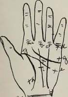 An illustration from Revelations of the hand. A scientific study of the shape and markings of the hand, as an index to character, disease, and tendencies, with explanatory illustrations (1900)