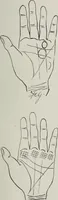 An illustration from Revelations of the hand. A scientific study of the shape and markings of the hand, as an index to character, disease, and tendencies, with explanatory illustrations (1900)
