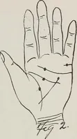 An illustration from Revelations of the hand. A scientific study of the shape and markings of the hand, as an index to character, disease, and tendencies, with explanatory illustrations (1900)