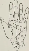 An illustration from Revelations of the hand. A scientific study of the shape and markings of the hand, as an index to character, disease, and tendencies, with explanatory illustrations (1900)