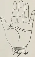 An illustration from Revelations of the hand. A scientific study of the shape and markings of the hand, as an index to character, disease, and tendencies, with explanatory illustrations (1900)