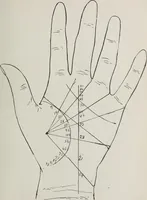 An illustration from Revelations of the hand. A scientific study of the shape and markings of the hand, as an index to character, disease, and tendencies, with explanatory illustrations (1900)