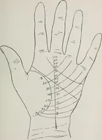 An illustration from Revelations of the hand. A scientific study of the shape and markings of the hand, as an index to character, disease, and tendencies, with explanatory illustrations (1900)