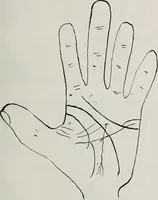 An illustration from Revelations of the hand. A scientific study of the shape and markings of the hand, as an index to character, disease, and tendencies, with explanatory illustrations (1900)