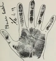 An illustration from Revelations of the hand. A scientific study of the shape and markings of the hand, as an index to character, disease, and tendencies, with explanatory illustrations (1900)