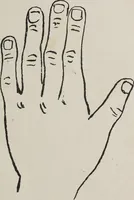 An illustration from Revelations of the hand. A scientific study of the shape and markings of the hand, as an index to character, disease, and tendencies, with explanatory illustrations (1900)
