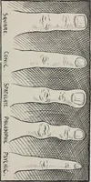Picture 8 of 65 from Revelations of the hand. A scientific study of the shape and markings of the hand, as an index to character, disease, and tendencies, with explanatory illustrations (1900), leaf 58