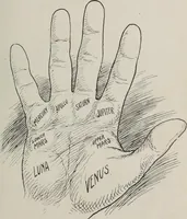 An illustration from Revelations of the hand. A scientific study of the shape and markings of the hand, as an index to character, disease, and tendencies, with explanatory illustrations (1900)