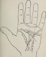An illustration from Revelations of the hand. A scientific study of the shape and markings of the hand, as an index to character, disease, and tendencies, with explanatory illustrations (1900)