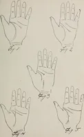 An illustration from Revelations of the hand. A scientific study of the shape and markings of the hand, as an index to character, disease, and tendencies, with explanatory illustrations (1900)