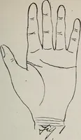 An illustration from Revelations of the hand. A scientific study of the shape and markings of the hand, as an index to character, disease, and tendencies, with explanatory illustrations (1900)
