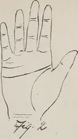 An illustration from Revelations of the hand. A scientific study of the shape and markings of the hand, as an index to character, disease, and tendencies, with explanatory illustrations (1900)