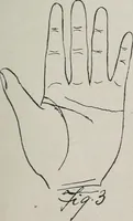 An illustration from Revelations of the hand. A scientific study of the shape and markings of the hand, as an index to character, disease, and tendencies, with explanatory illustrations (1900)