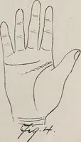 An illustration from Revelations of the hand. A scientific study of the shape and markings of the hand, as an index to character, disease, and tendencies, with explanatory illustrations (1900)