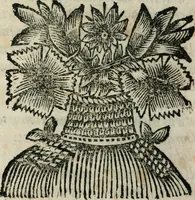 Picture 24 of 52 from Reverendissimi patris Fr. Francisci de Macedo ... Carmina selecta (1683), leaf 181