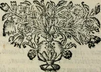An illustration from Reverendissimi patris Fr. Francisci de Macedo ... Carmina selecta (1683)