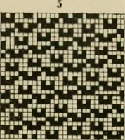 An illustration from Revised edition of Textile design book. A practical composition for the construction of new designs (1898)