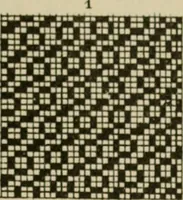An illustration from Revised edition of Textile design book. A practical composition for the construction of new designs (1898)
