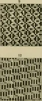 An illustration from Revised edition of Textile design book. A practical composition for the construction of new designs (1898)