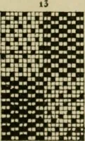 An illustration from Revised edition of Textile design book. A practical composition for the construction of new designs (1898)