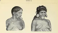 An illustration from Revista da exposição anthropologica brazileira; (1882)