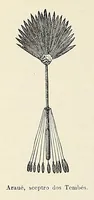 Picture 5 of 17 from Revista da exposição anthropologica brazileira; (1882), leaf 52