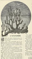 Picture 8 of 17 from Revista da exposição anthropologica brazileira; (1882), leaf 78