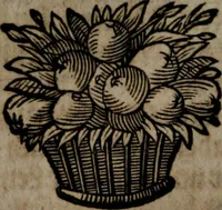 An illustration from Rev. P. Abraham a S. Clara ... Besonders meubliert- und gezierte Todten-Capelle, oder, Allgemeiner Todten-Spiegel : darinnen alle Menschen, wes Standes sie sind ... (1711)