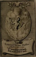 Picture 42 of 96 from Rev. P. Abraham a S. Clara ... Besonders meubliert- und gezierte Todten-Capelle, oder, Allgemeiner Todten-Spiegel : darinnen alle Menschen, wes Standes sie sind ... (1711), leaf 210