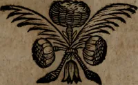 An illustration from Rev. P. Abraham a S. Clara ... Besonders meubliert- und gezierte Todten-Capelle, oder, Allgemeiner Todten-Spiegel : darinnen alle Menschen, wes Standes sie sind ... (1711)