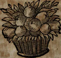 An illustration from Rev. P. Abraham a S. Clara ... Besonders meubliert- und gezierte Todten-Capelle, oder, Allgemeiner Todten-Spiegel : darinnen alle Menschen, wes Standes sie sind ... (1711)