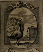 An illustration from Rev. P. Abraham a S. Clara ... Besonders meubliert- und gezierte Todten-Capelle, oder, Allgemeiner Todten-Spiegel : darinnen alle Menschen, wes Standes sie sind ... (1711)