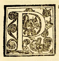An illustration from Rev. Patris Fr. Alphonsi a Vera Cruce Hispani ordinis eremitarum S. Augustini. Et in primaria cathedra Mexicanae vniuersitatis s. theologiae doctoris. Speculum coniugiorum, cum Appendice (1599)
